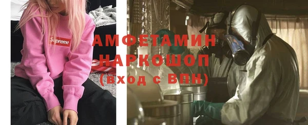 индика Алзамай