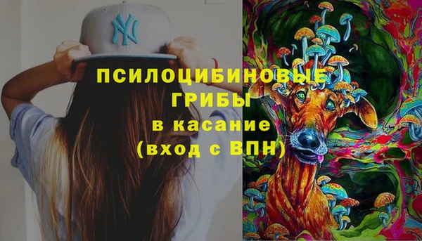 индика Алзамай