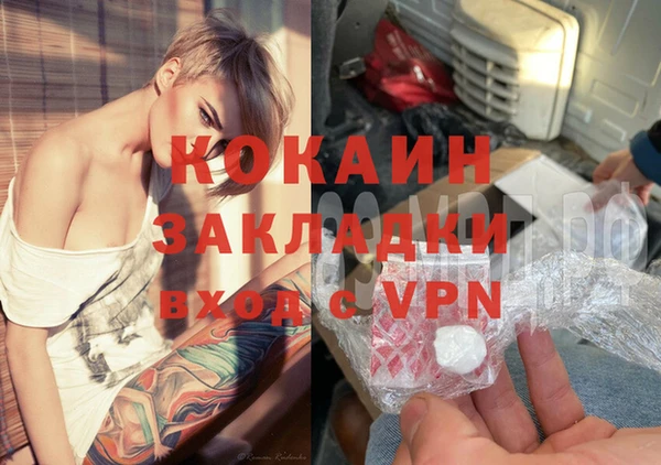 индика Алзамай