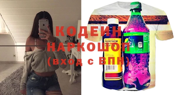 индика Алзамай