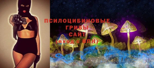 индика Алзамай