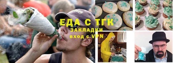 индика Алзамай
