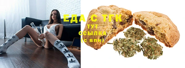 индика Алзамай