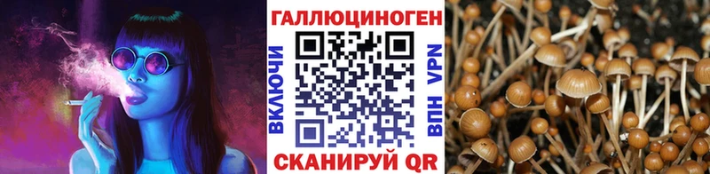 MEGA ONION  Кизел  Галлюциногенные грибы Psilocybine cubensis 
